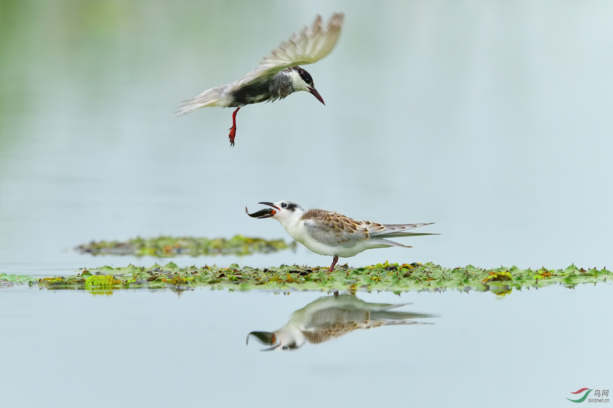 DSC_7136_�������� �ϴ�.jpg