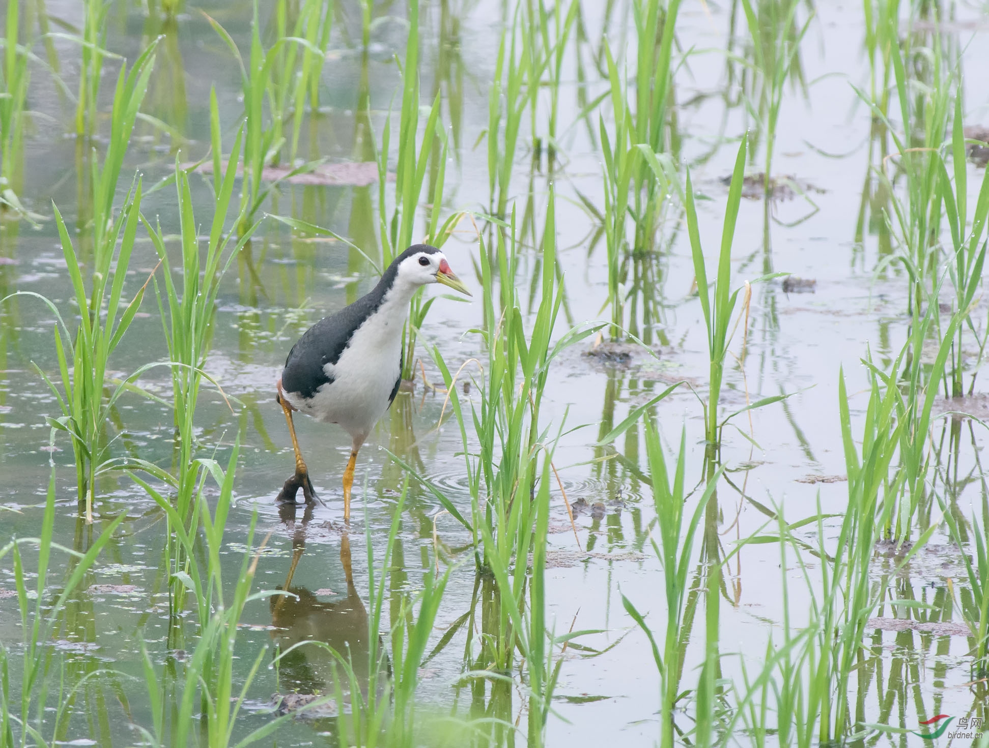 DSC_4846.jpg
