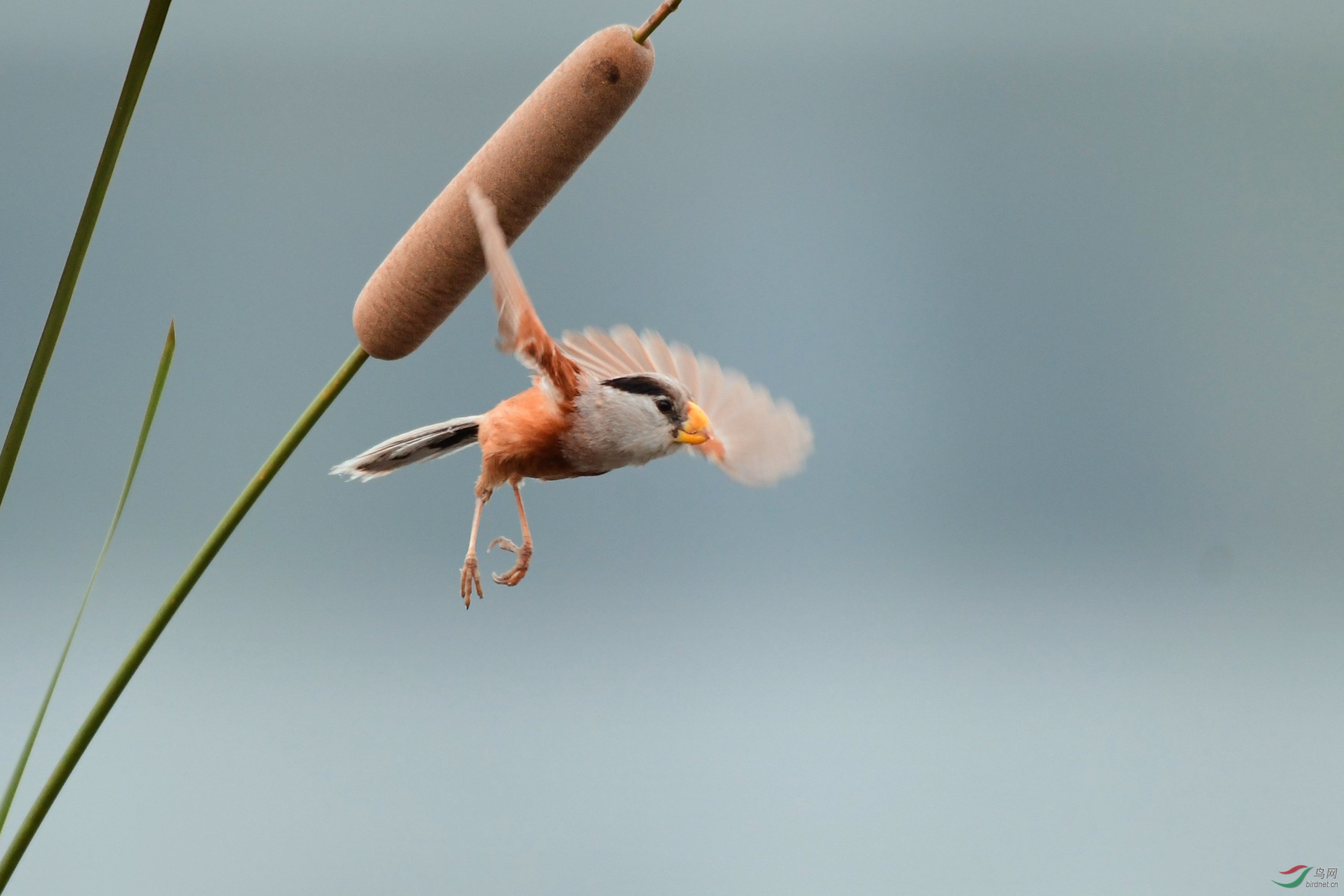 ���������� 136.JPG