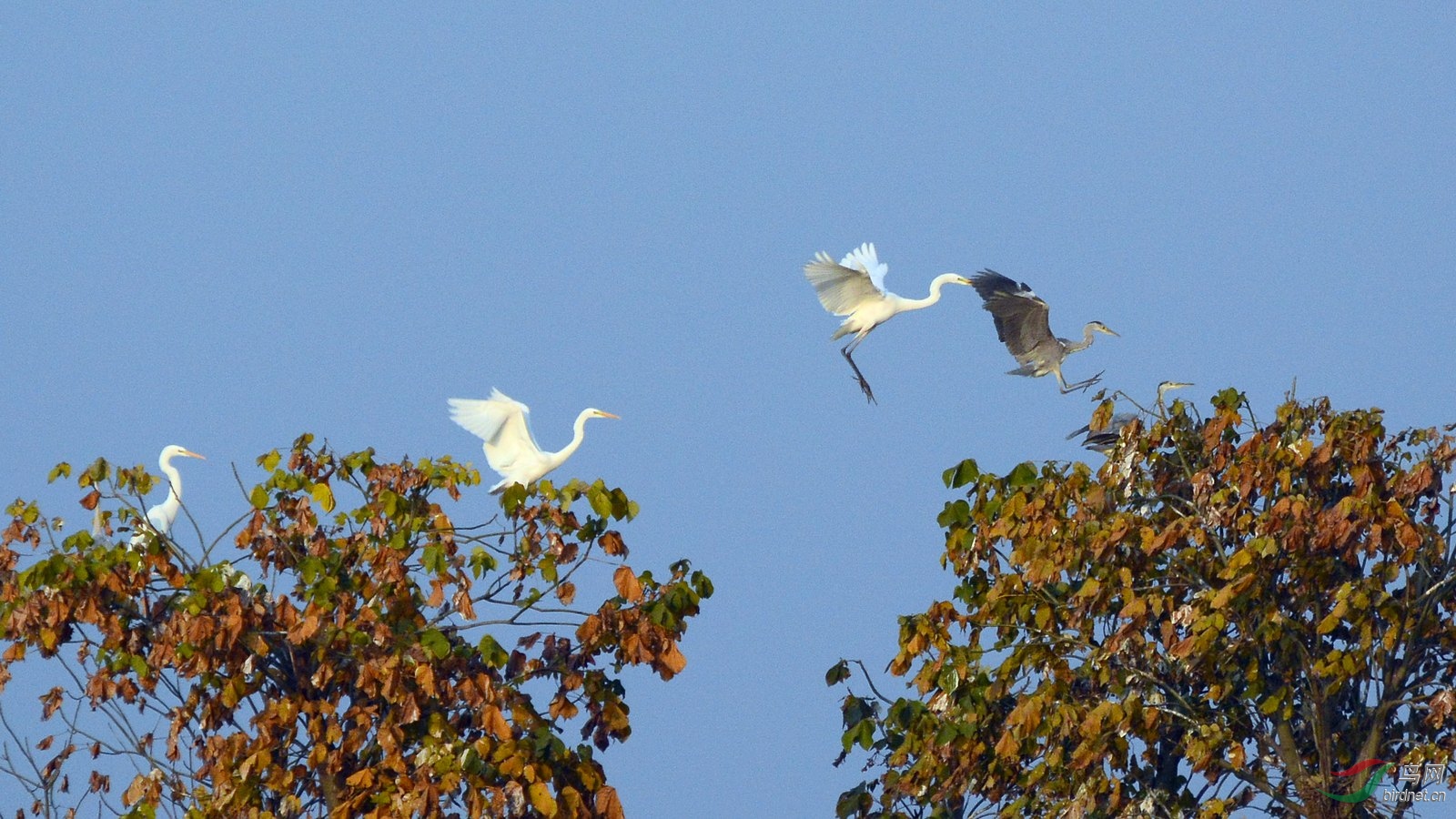 DSC_4656.JPG