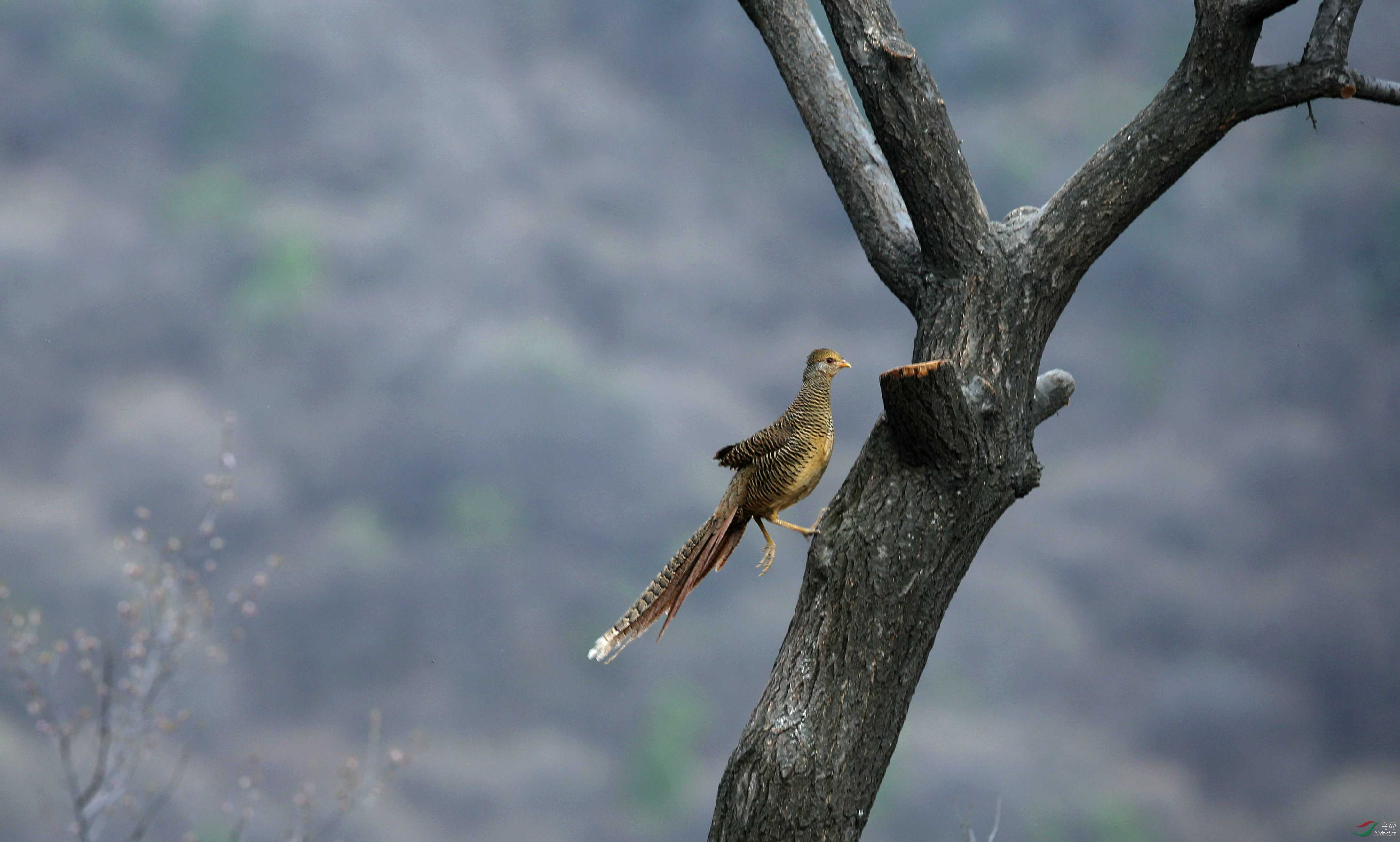 H46R0549_���� (2).jpg