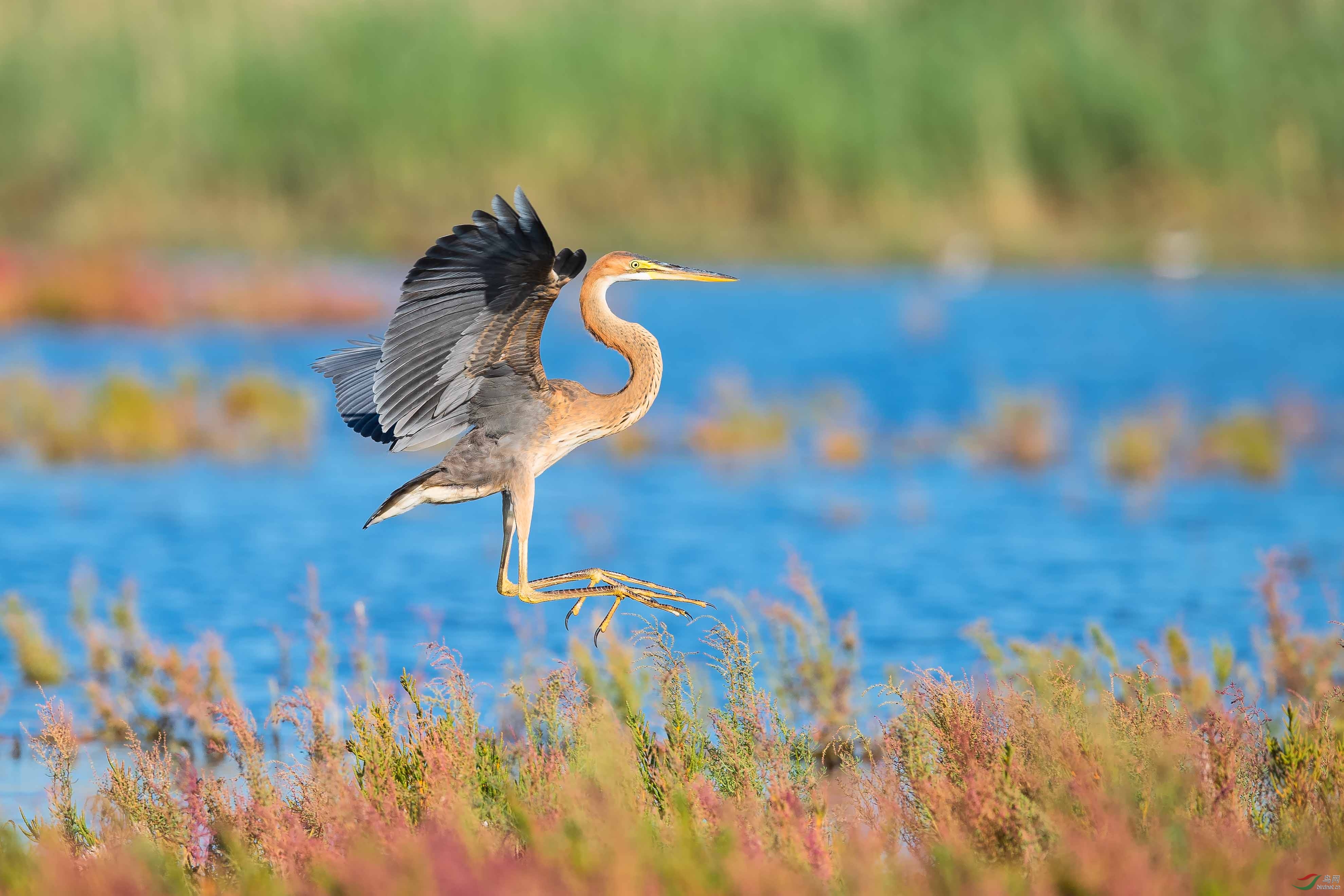 金风飒飒入仲秋