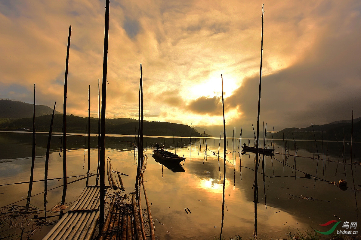 D8I_0174.jpg