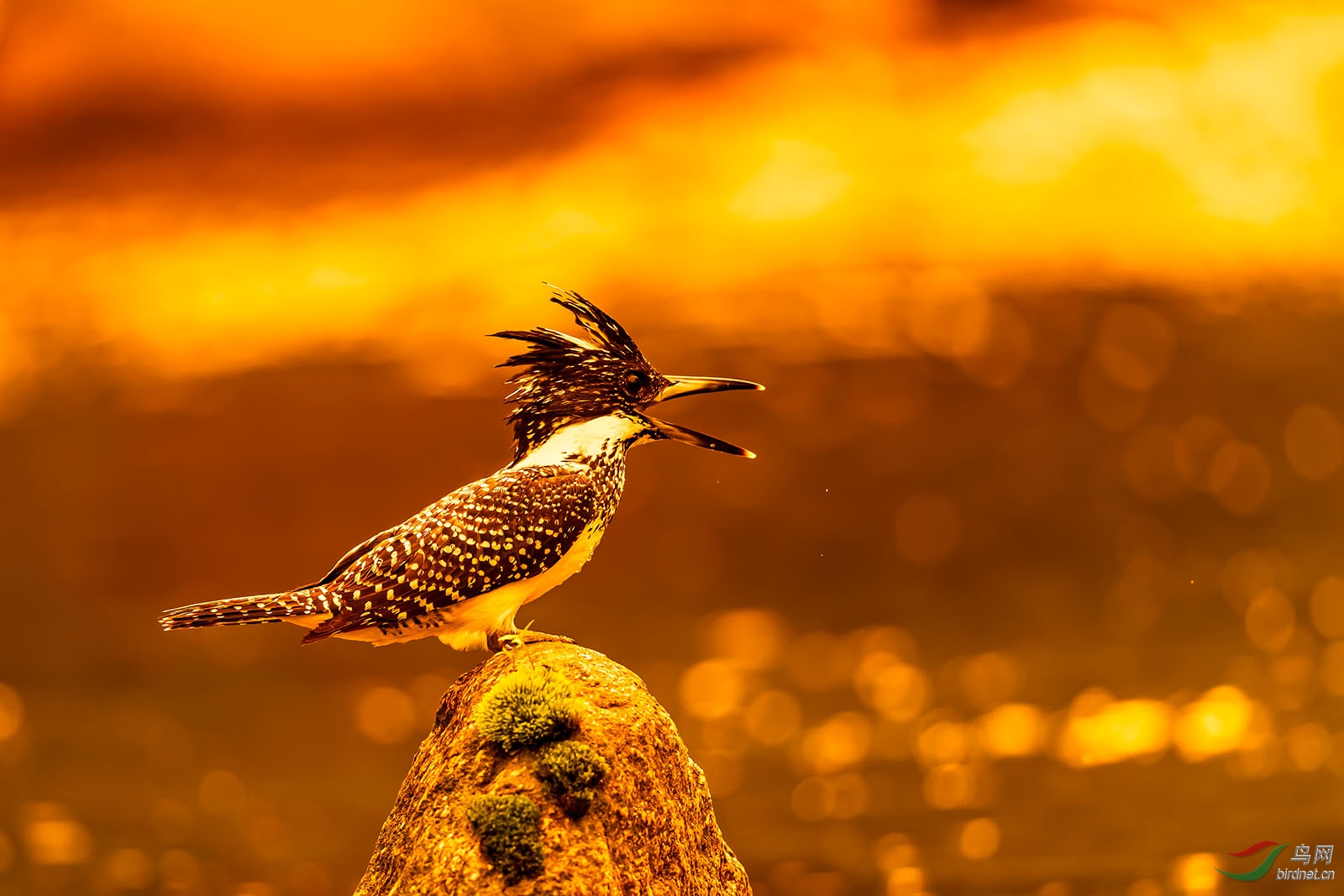 GS010335_DxO ����.jpg