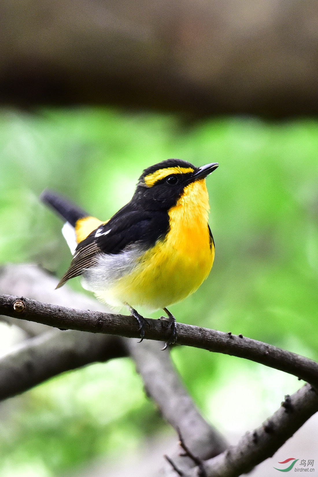 DSC_1003.JPG