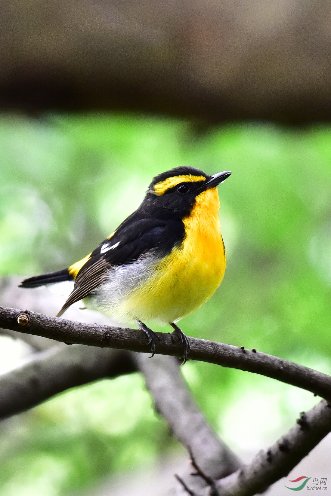 DSC_1004.JPG