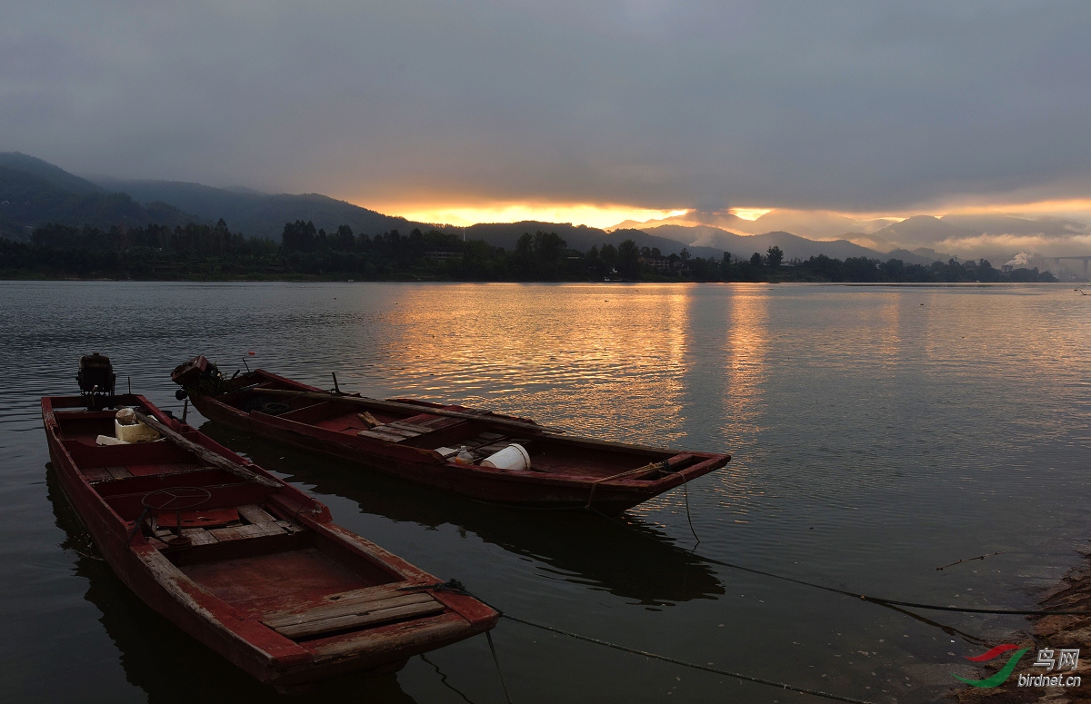 D8I_0096.jpg