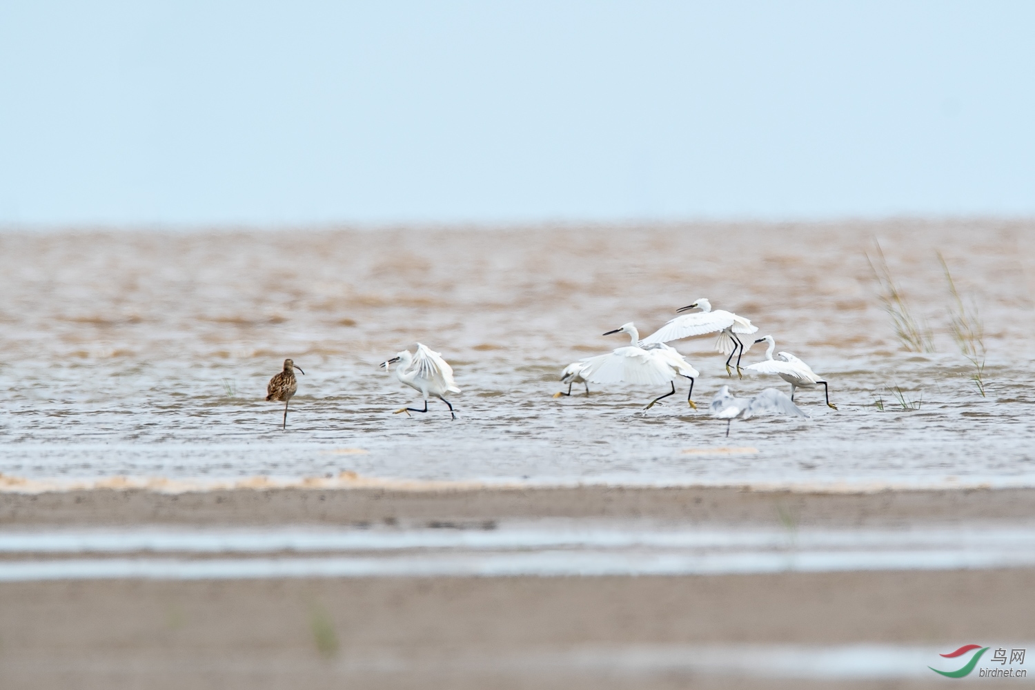 DSC_1756_1.jpg