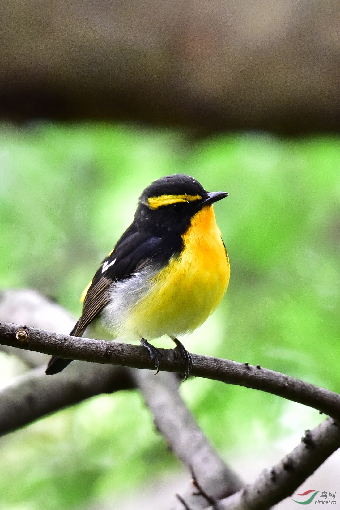 DSC_1005.JPG