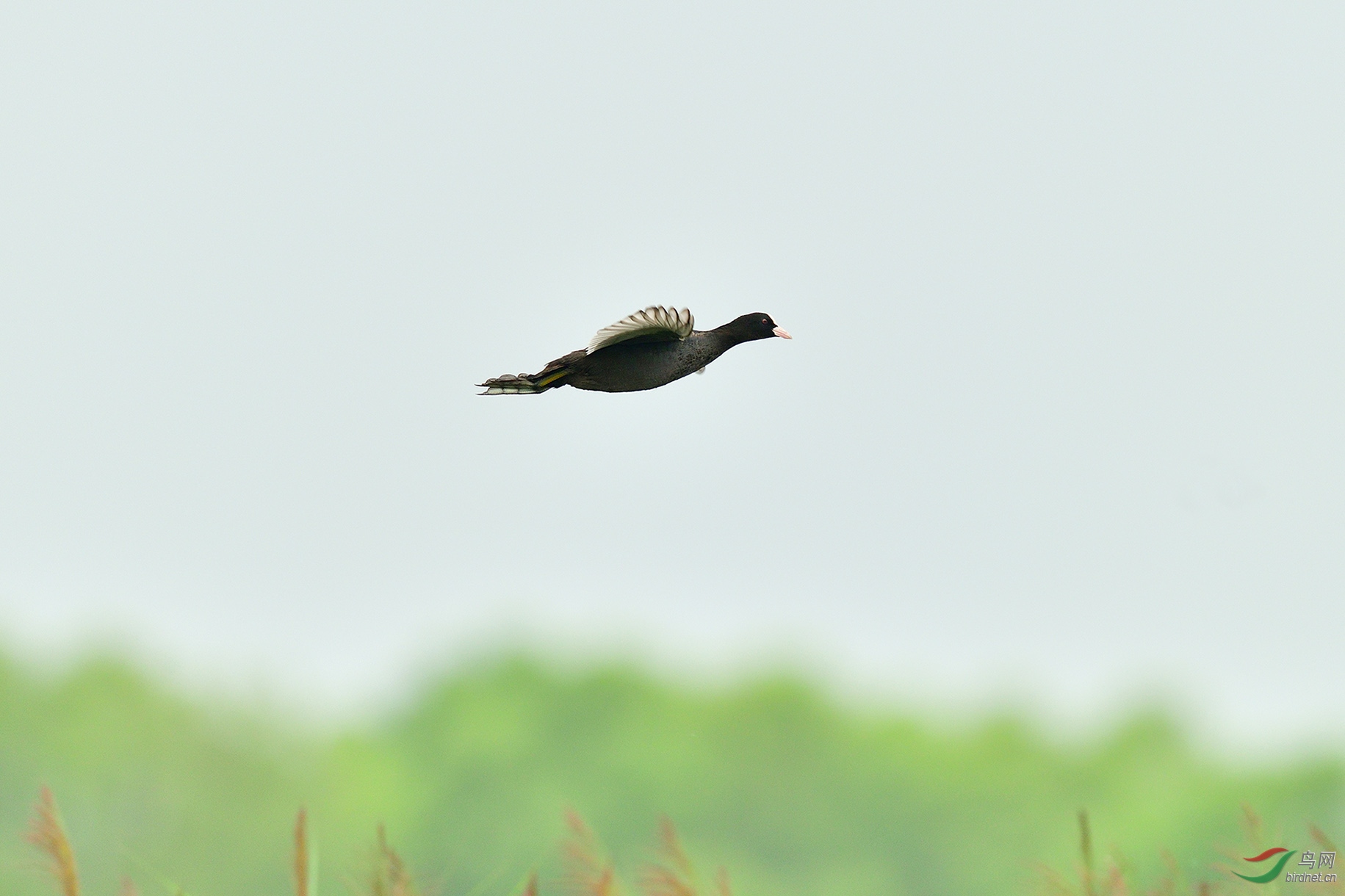 DSC_8139_Զ�߸߷� �ϴ�.jpg