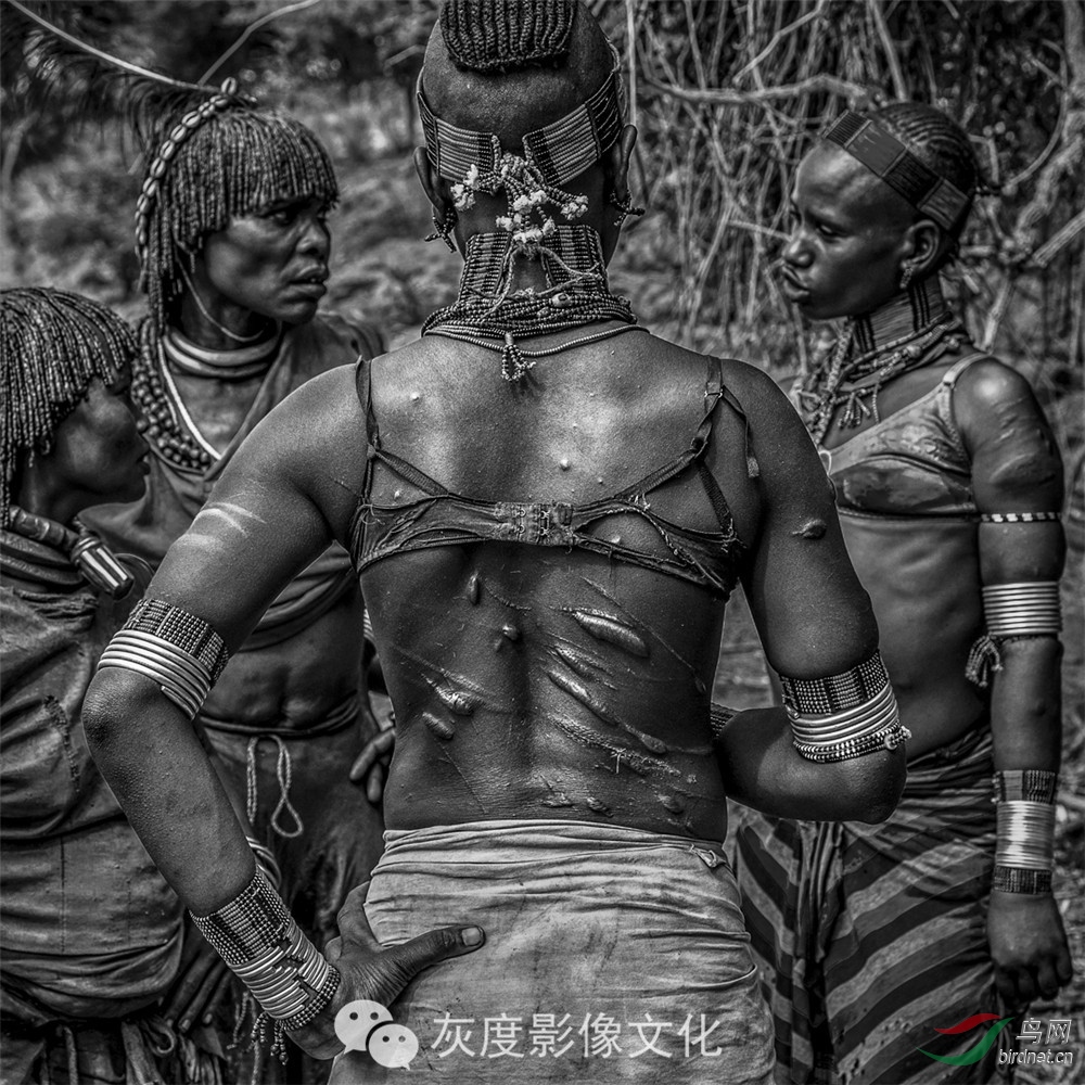 �Ҷ�Ӱ���Ա��������Ӱʦ