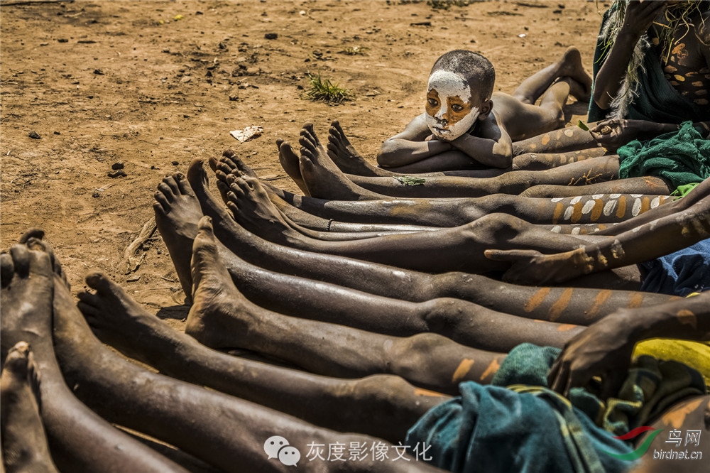 �Ҷ�Ӱ���Ա��������Ӱʦ