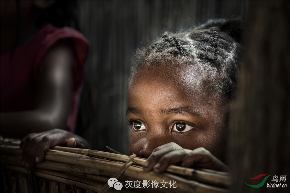 �Ҷ�Ӱ���Ա��������Ӱʦ