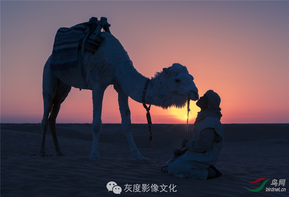 �Ҷ�Ӱ���Ա��������Ӱʦ