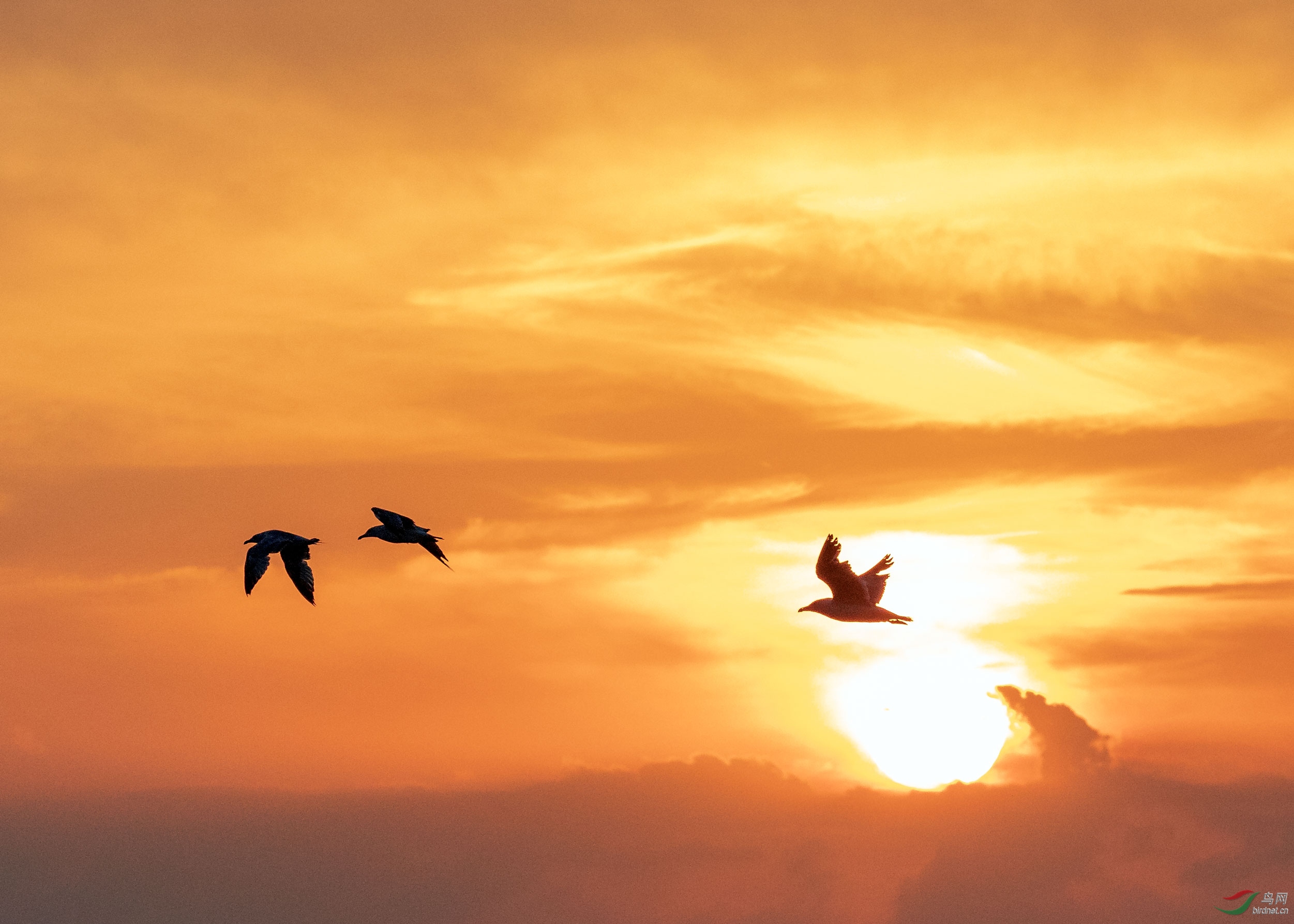 6I3A5877 - ����.jpg