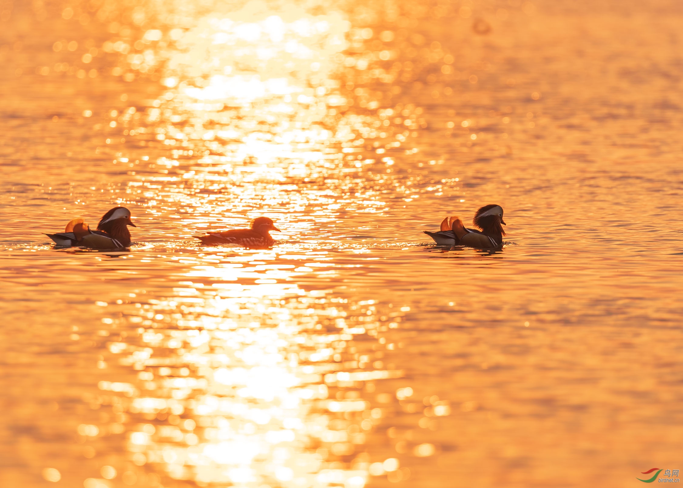 AP1I3926 - ����.jpg