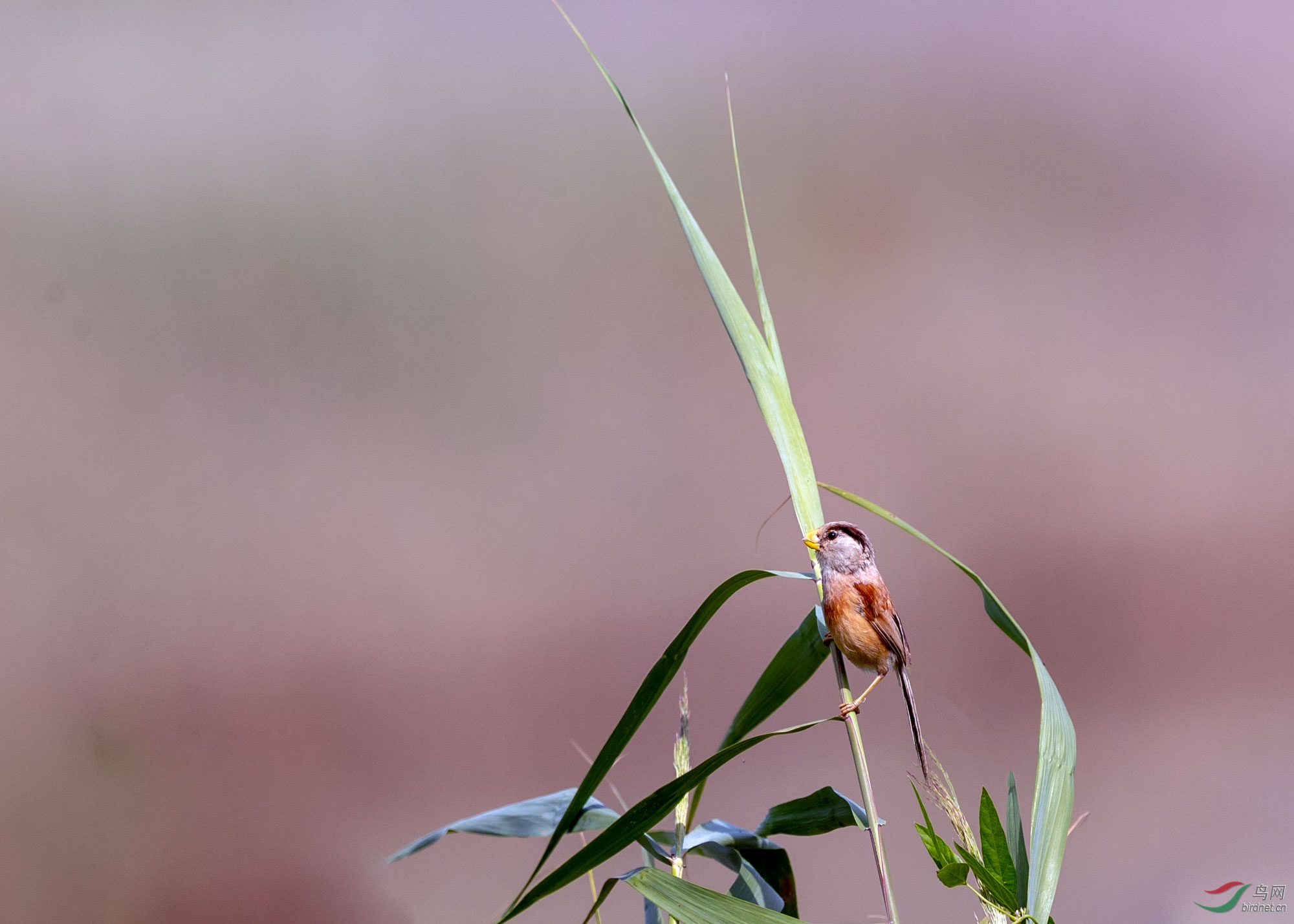 AP1I4794 - ����.jpg