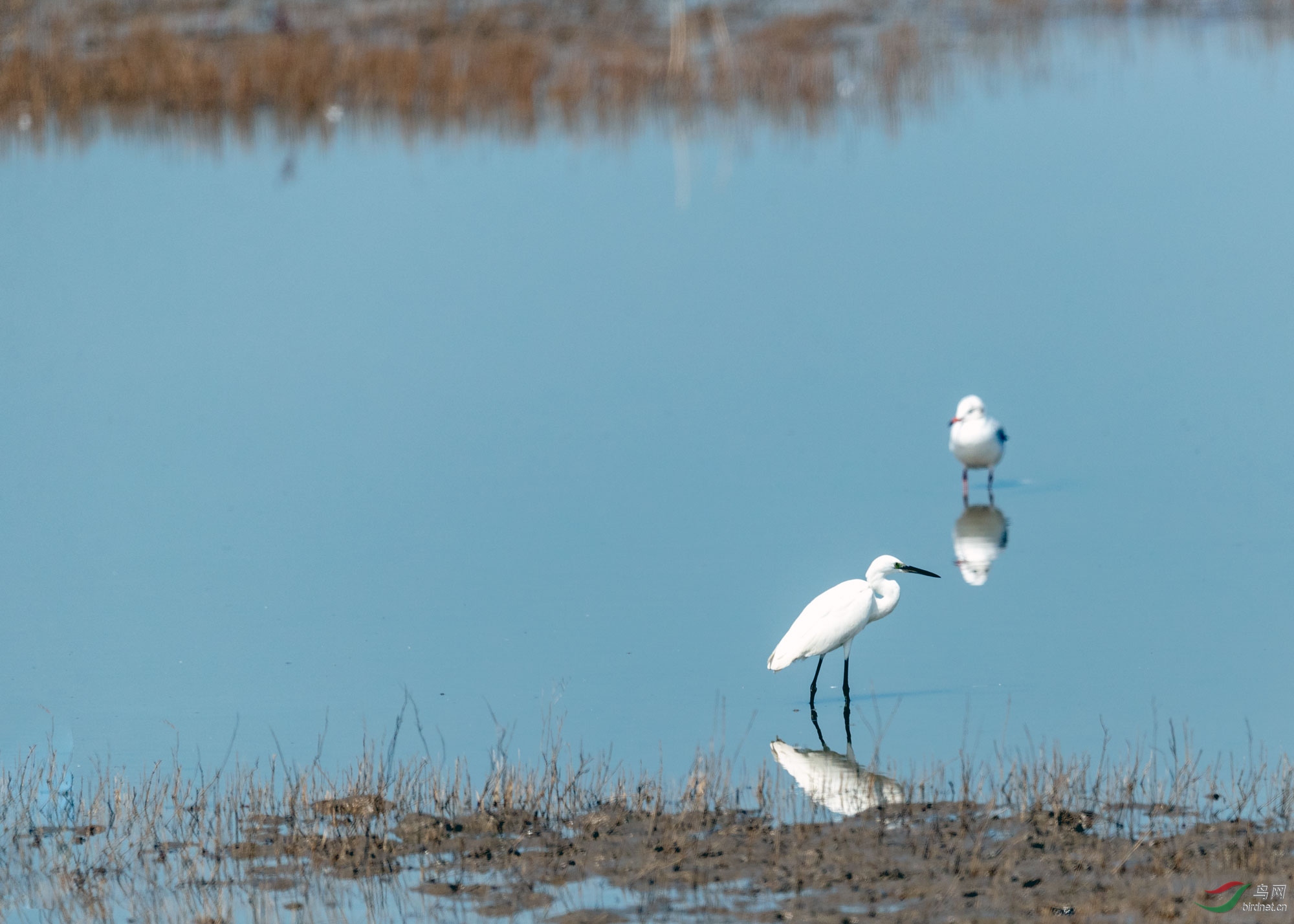 AP1I4819 - ����.jpg