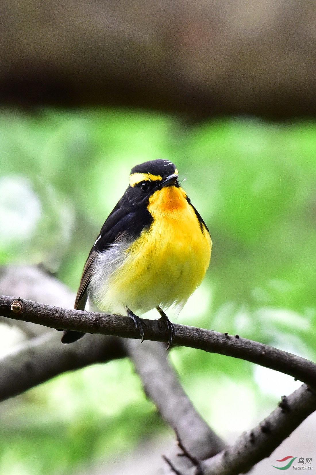 DSC_1007.JPG