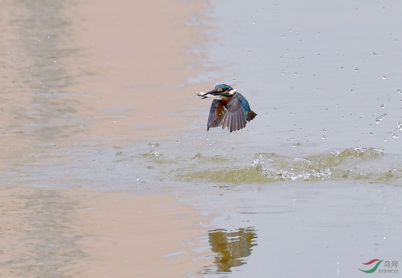 DSC_0603.jpg