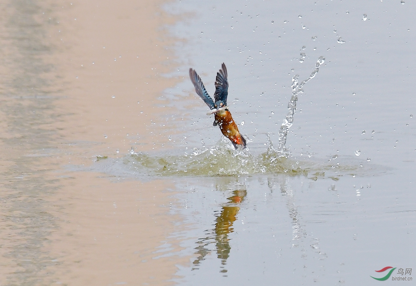 DSC_0602.jpg