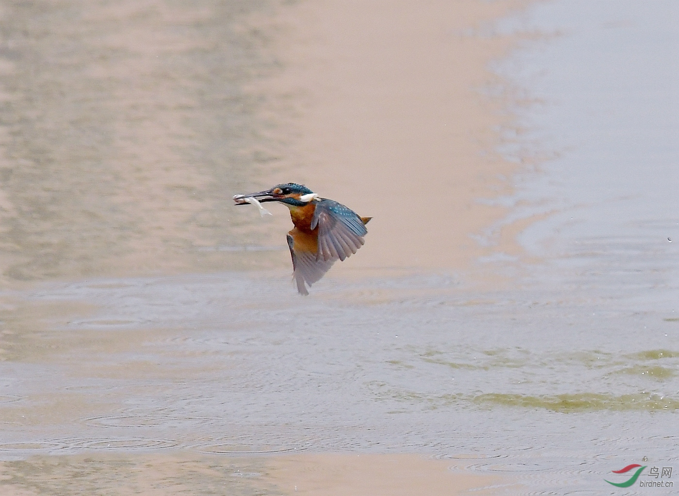 DSC_0605.jpg