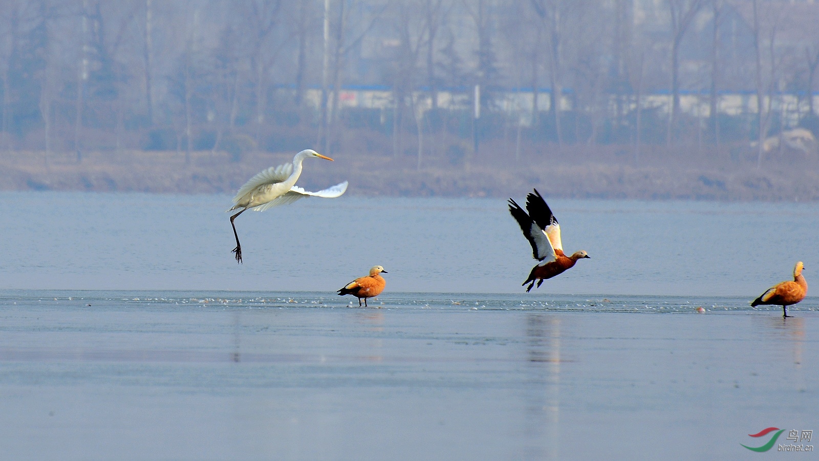 DSC_0134.JPG
