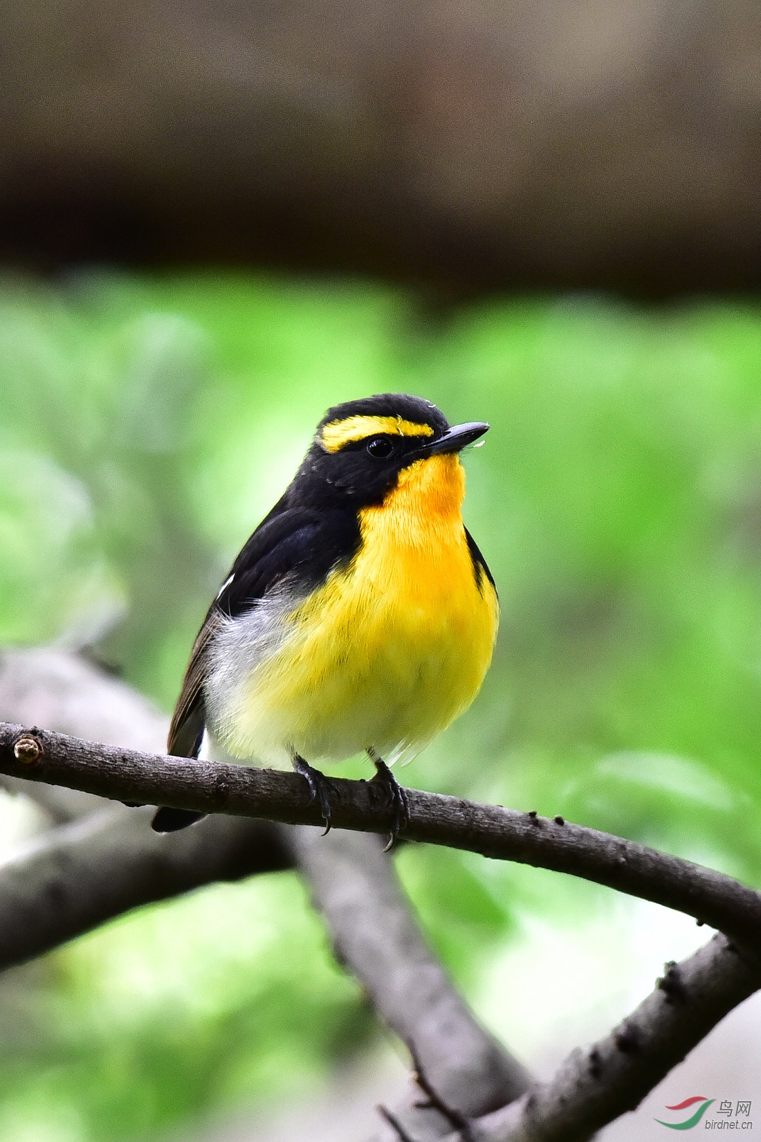 DSC_1009.JPG