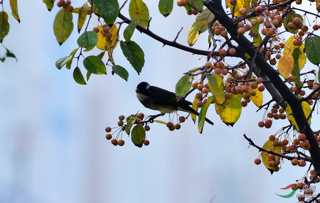 DSC_0607.JPG