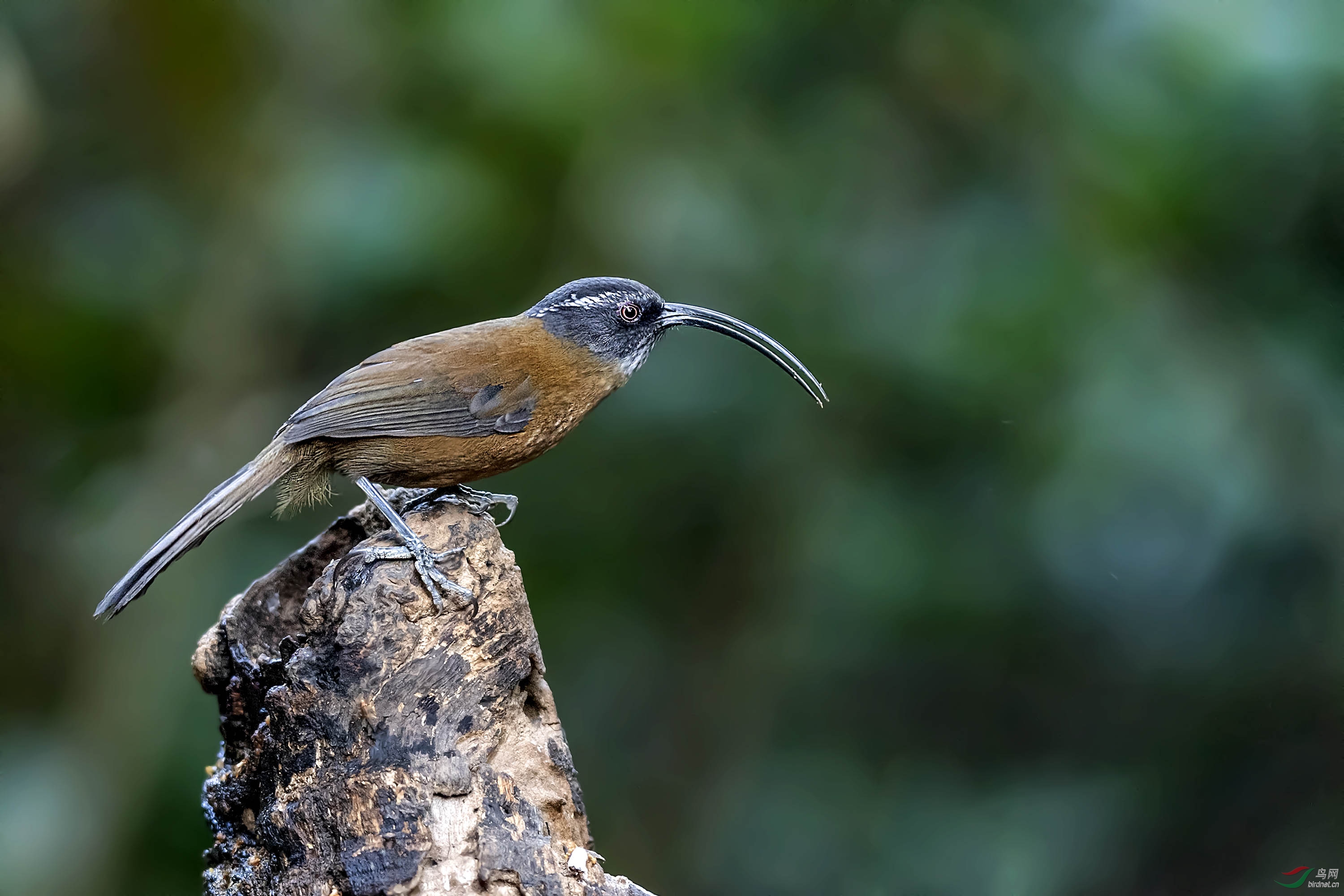 DSC_2256-3.jpg