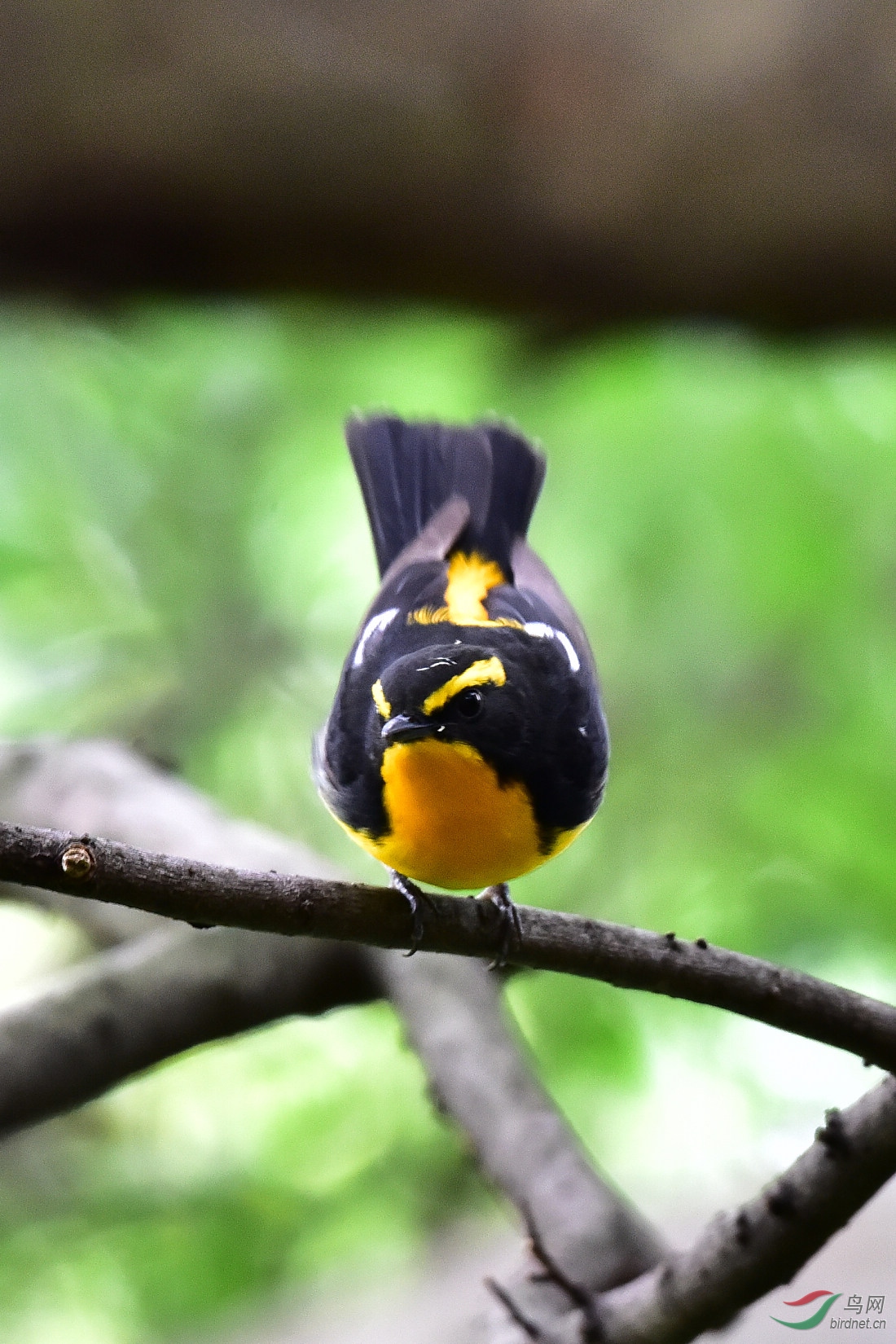 DSC_1012.JPG