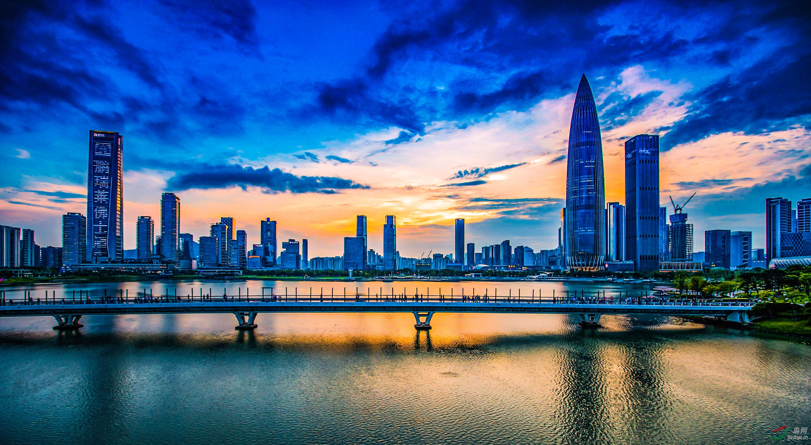 人才公园美景
