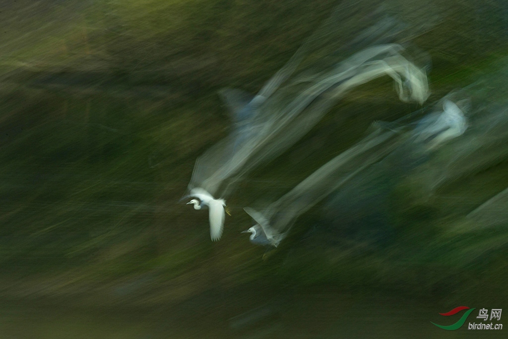 DSC_5407.jpg