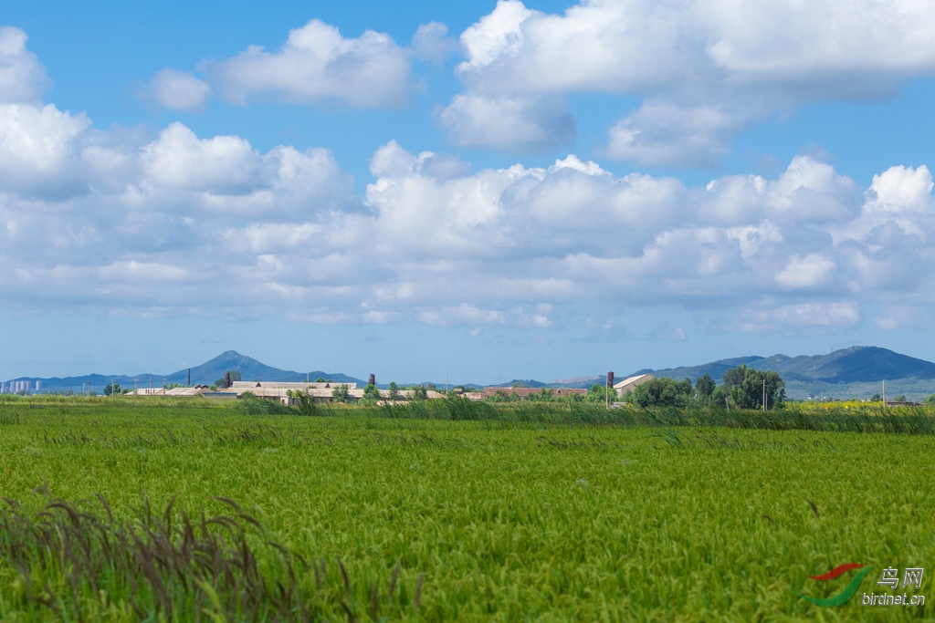 _16A5789  01_����.jpg