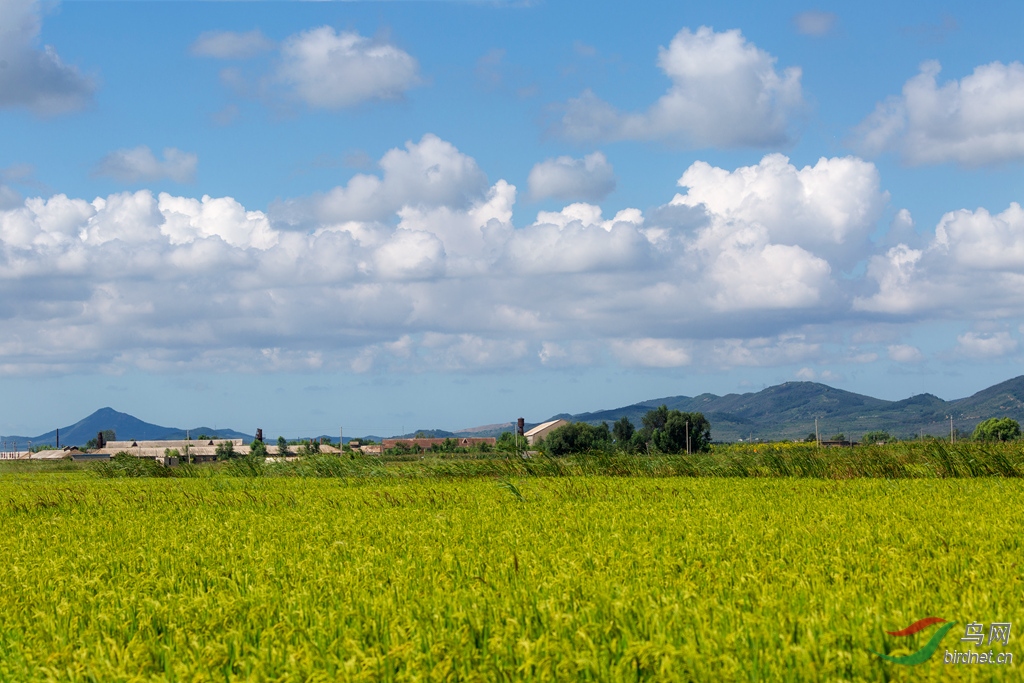 _16A5796  01_����.jpg