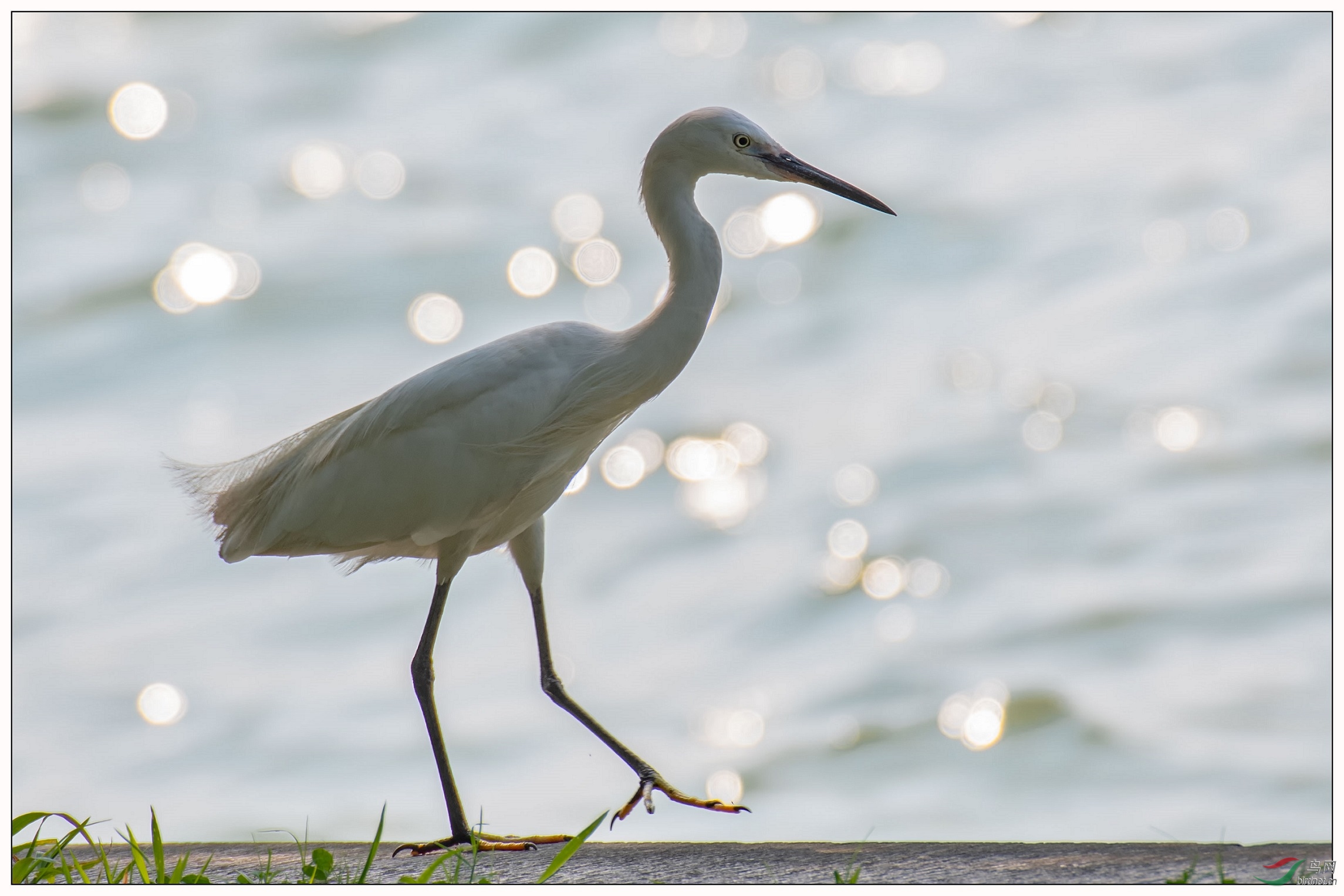 ��ֻС���ش���ⲻ��ôP���ˣ���