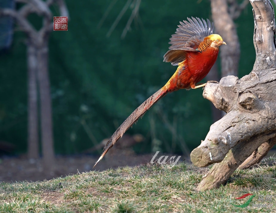 DSC_1382 - ����.JPG