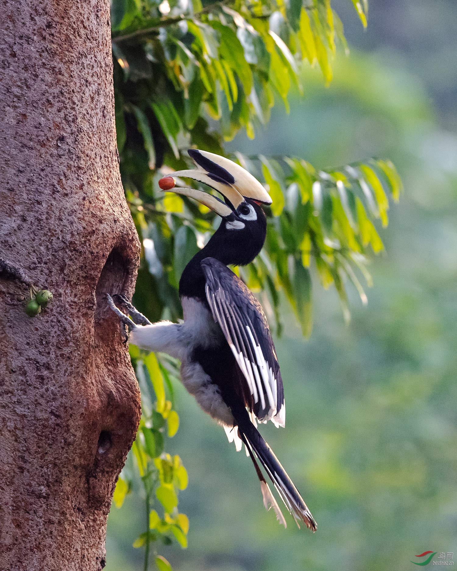 203.�ڰ�Ϭ�� (2).jpg