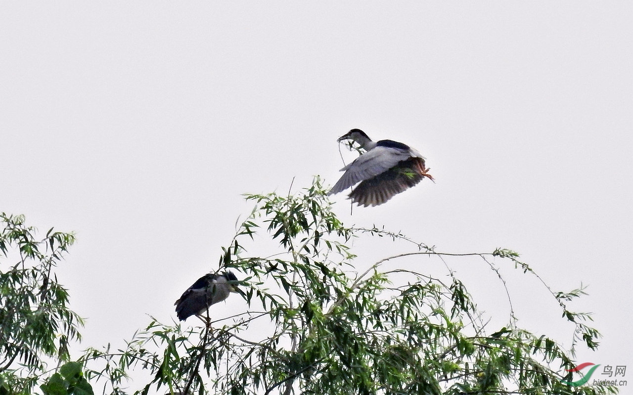 DSCN2138.JPG