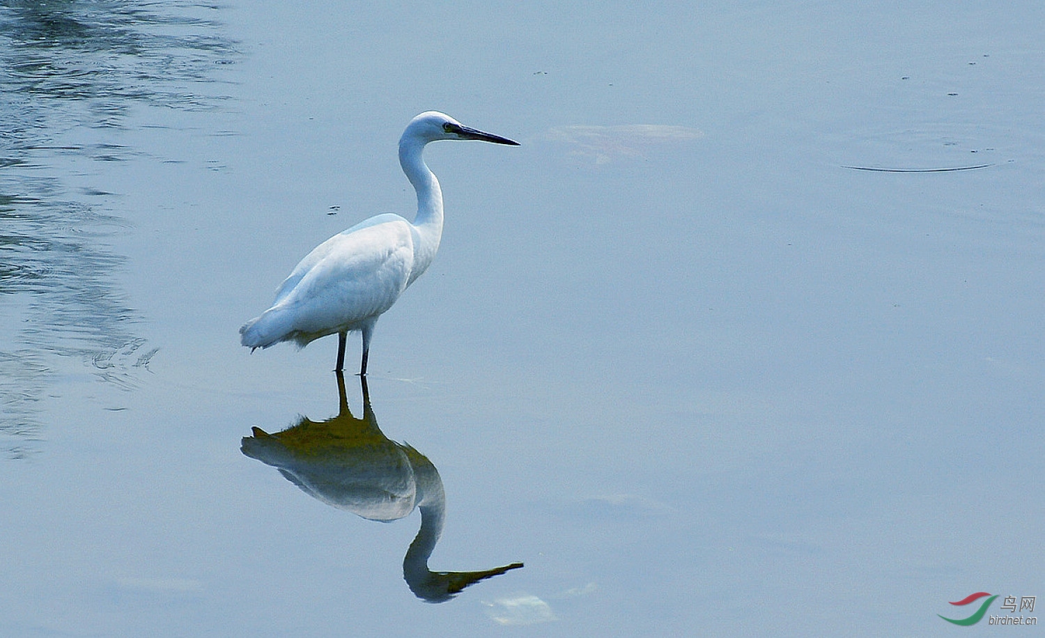 DSC_7245.JPG
