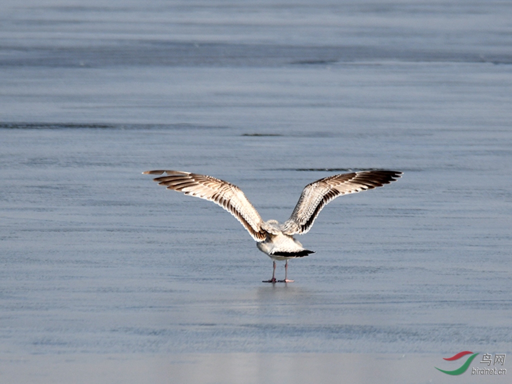 D50_7230.jpg
