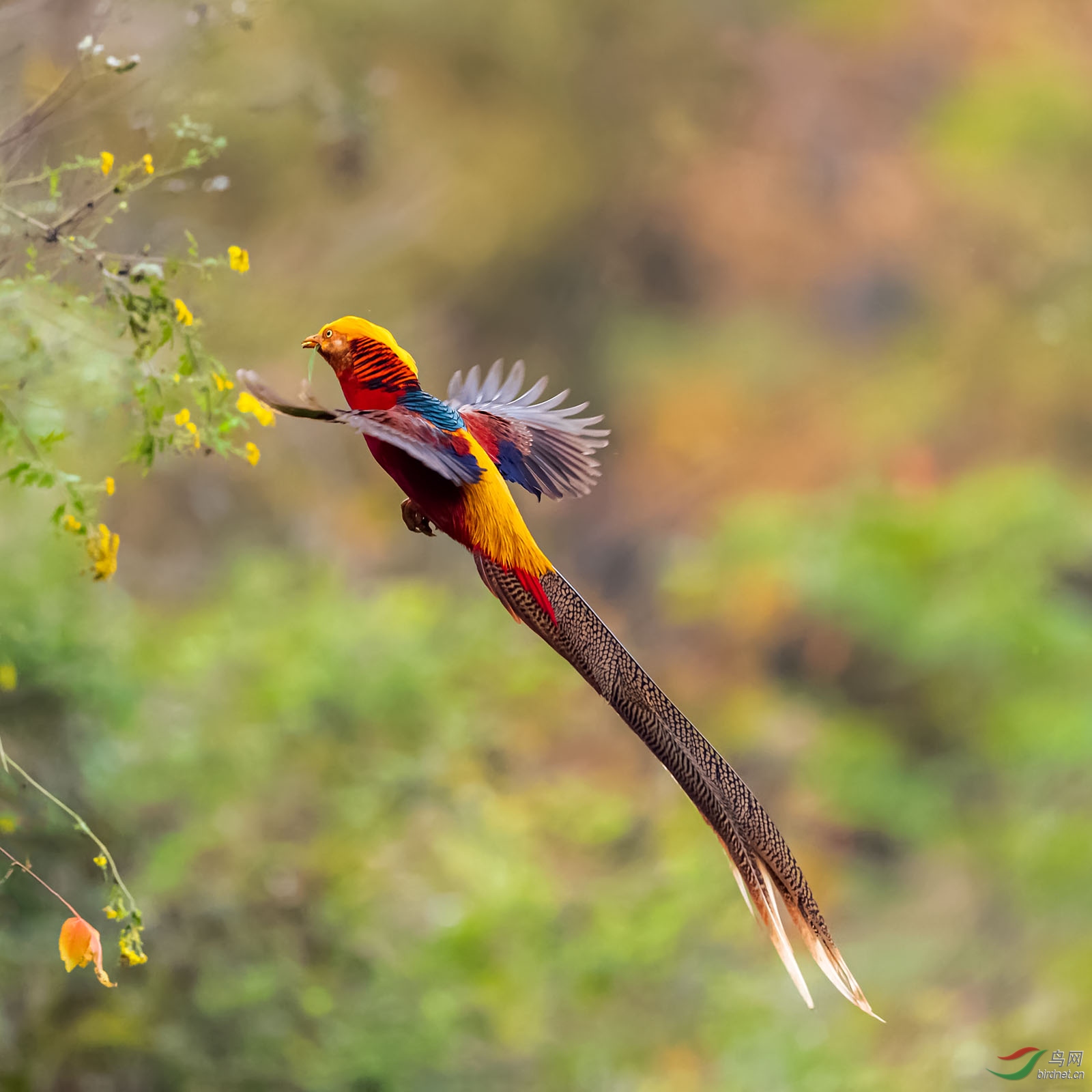 XZ012149_DxO ����.jpg