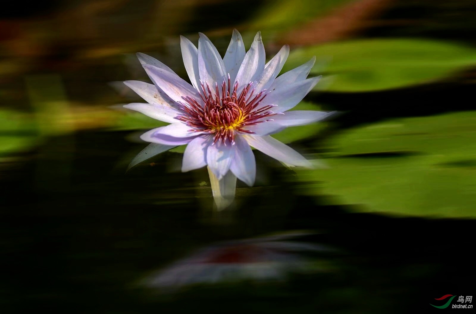 19D9BCD2-8D57-4A38-8B27-149BF49D4428.jpeg