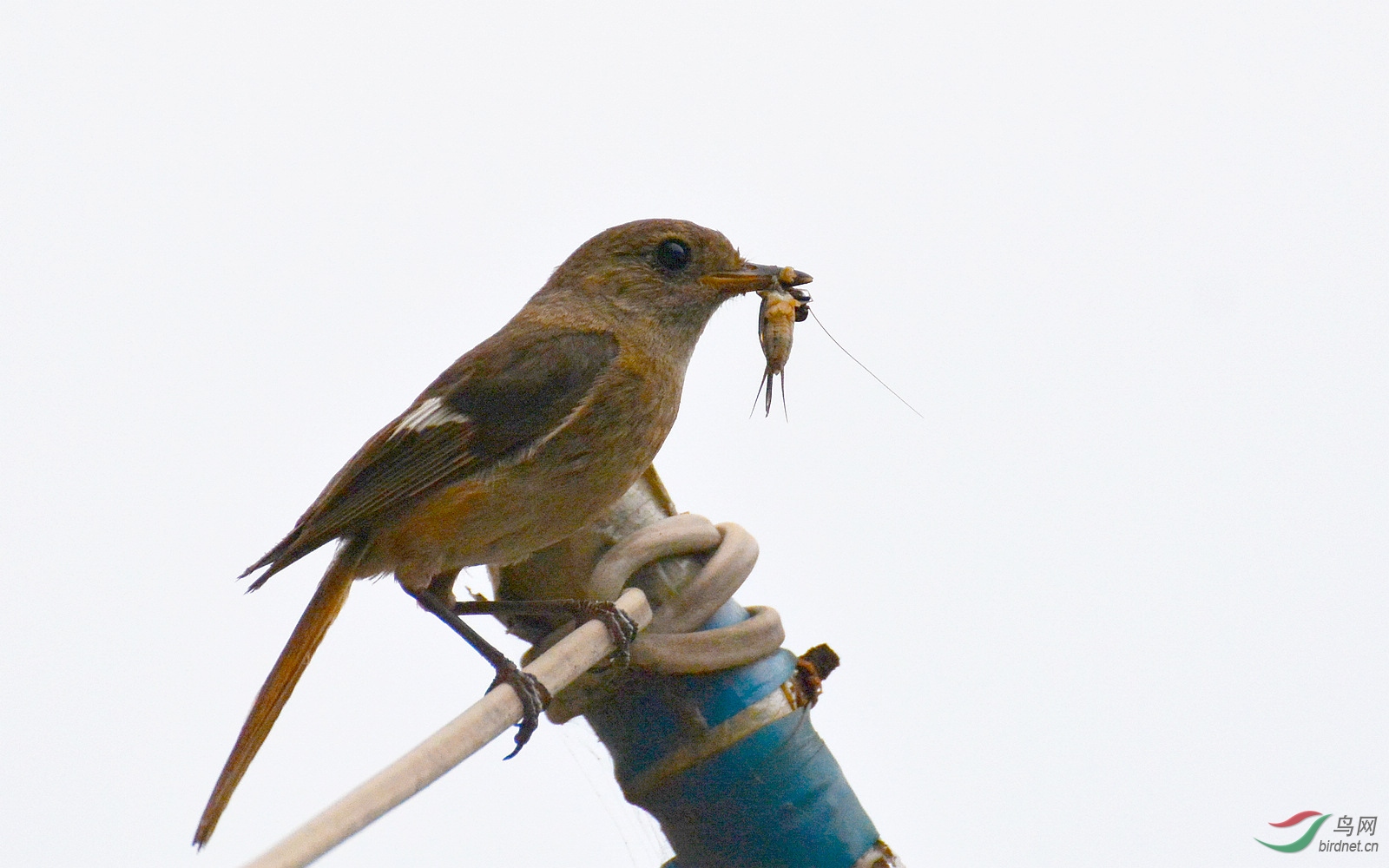 DSC_9074.JPG