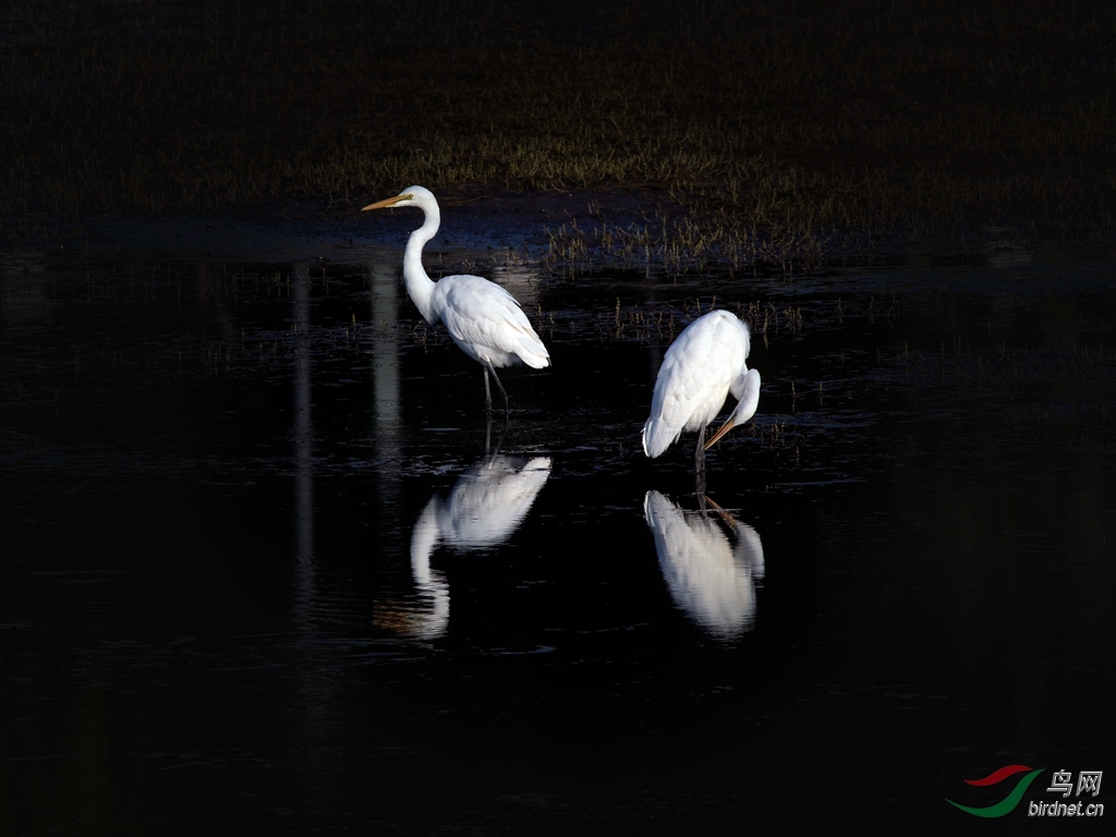073A5100_����.jpg