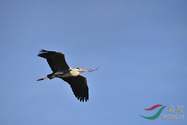 033 (6).JPG