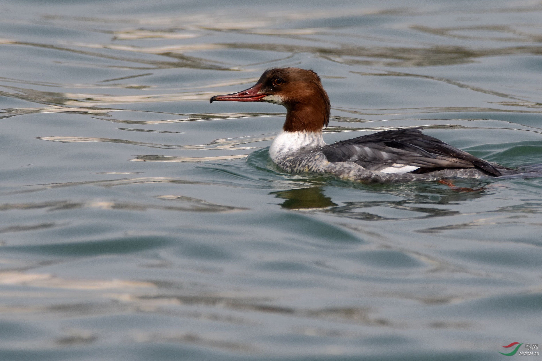 DSC_0639.JPG