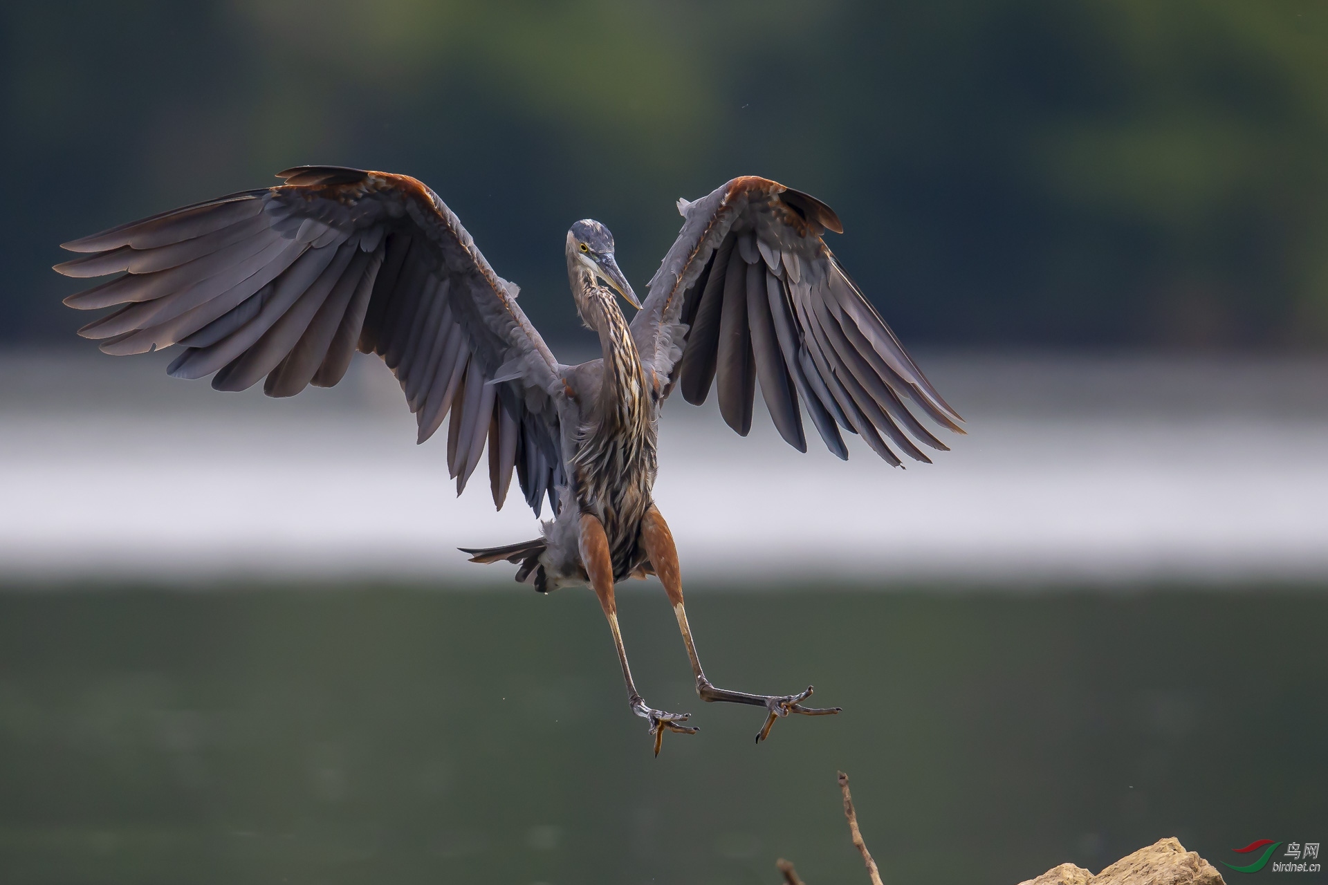 ����Ļ�  ��һվ�Ҹ�ȥ����.jpg