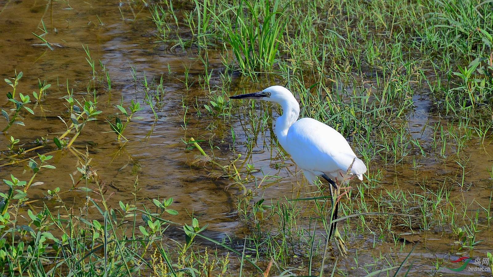 DSC_7192.JPG