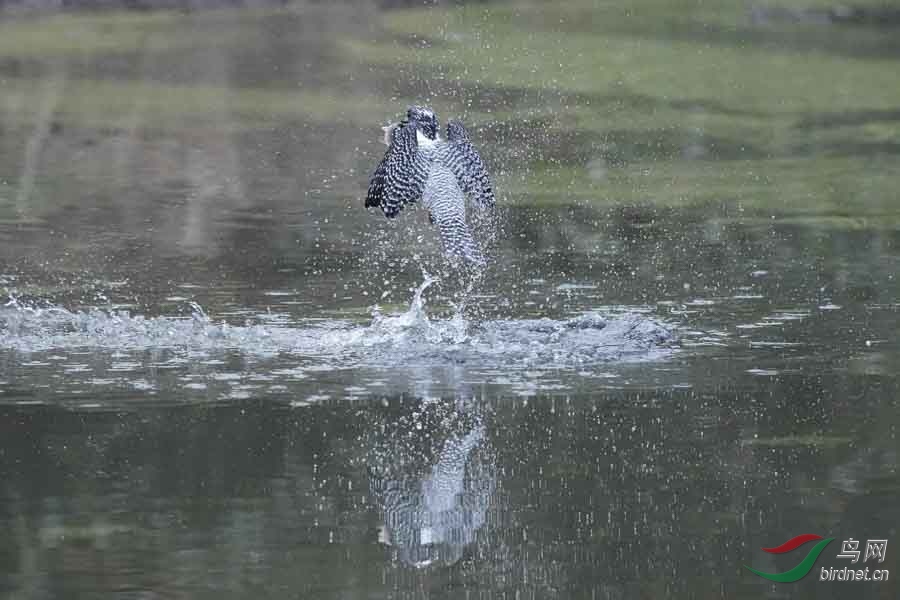 20180224-DSC00976-22 - ����.JPG